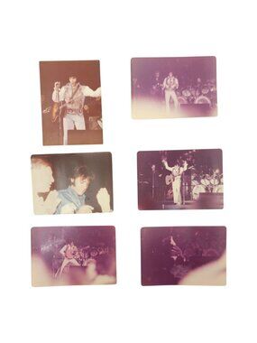 Elvis Presley 3.5 x 4.75 1970s Concert Photos Egyptian Bird Phoenix Original Lot